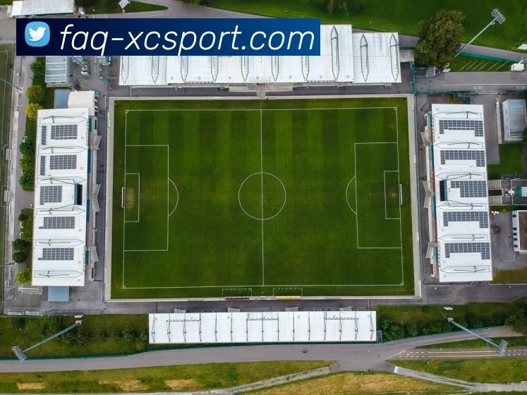 杏彩体育平台生态图