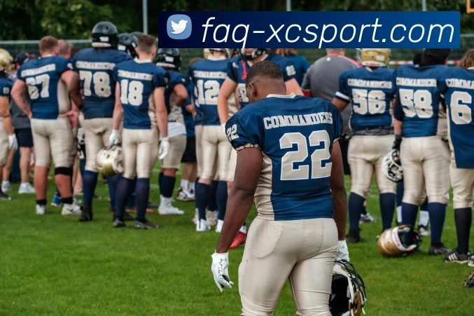 杏彩体育APP 封面图